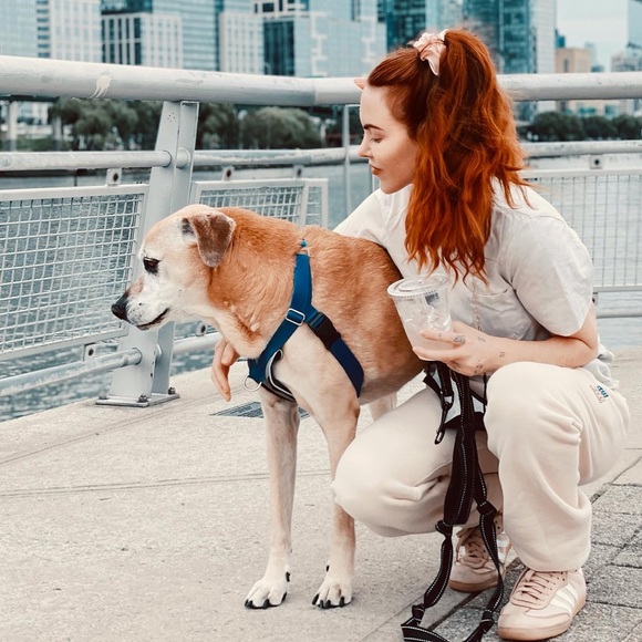 Meet your Posher, Sarah - Picture 3 of 10